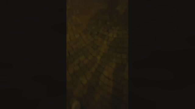 darksecret_Lar  09-07-2022